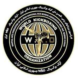 انواع سبک کیک بوکسینگ | انواع استایل کیک بوکسینگ 20 سبک_wko_کیک_بوکسینگ_-انواع-سبک-کیک-بوکسینگ