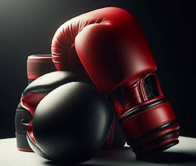 فرق-دستکش-بوکس-و-دستکش-کیک-بوکسینگ