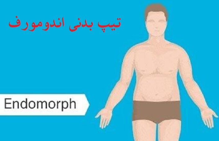 تیپ بدنی اندومورف 11 خصوصیات-تیپ-بدنی-اندومورف