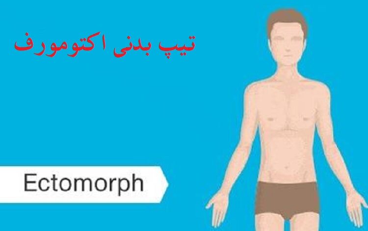 تیپ بدنی اکتومورف 11 تیپ-بدنی-اکتومورف