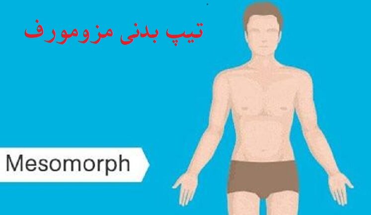 تیپ بدنی مزومورف 11 تیپ-بدنی-مزومورف