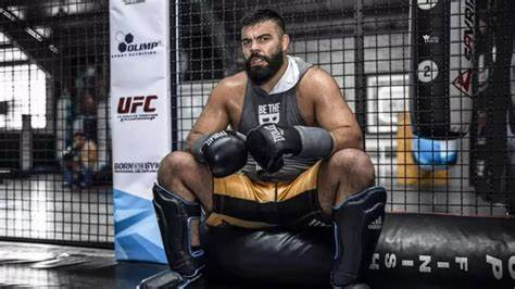 معروف ترین رزمی کار ایران 7 امیر علی اکبری کشتی گیر معروف که در رشته ی ورزشی mma در حال فعالیت است.